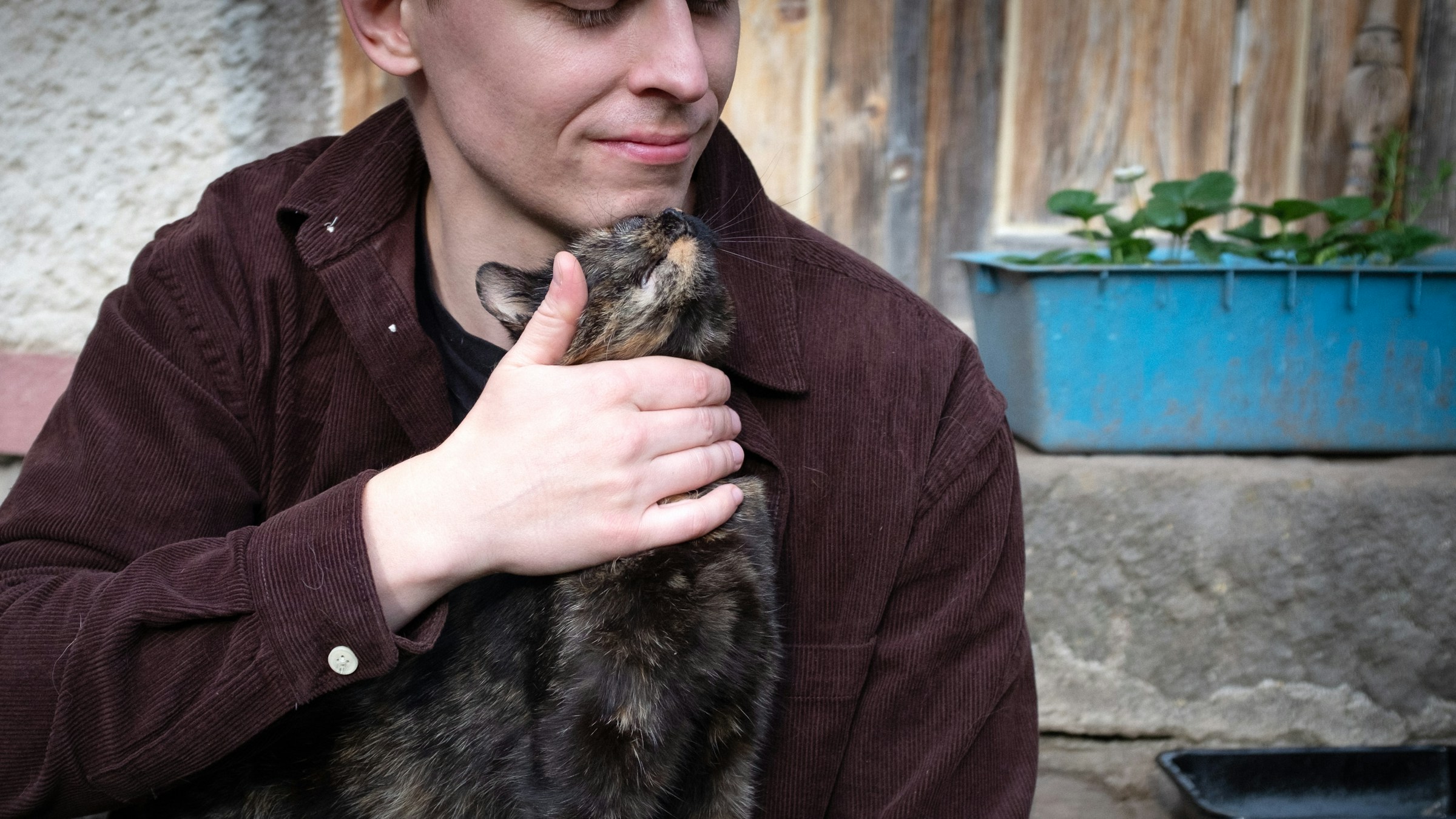 Animal Science Says Cats Who Rub Their Heads Against You Are Doing More Than Simply Asking for Affection