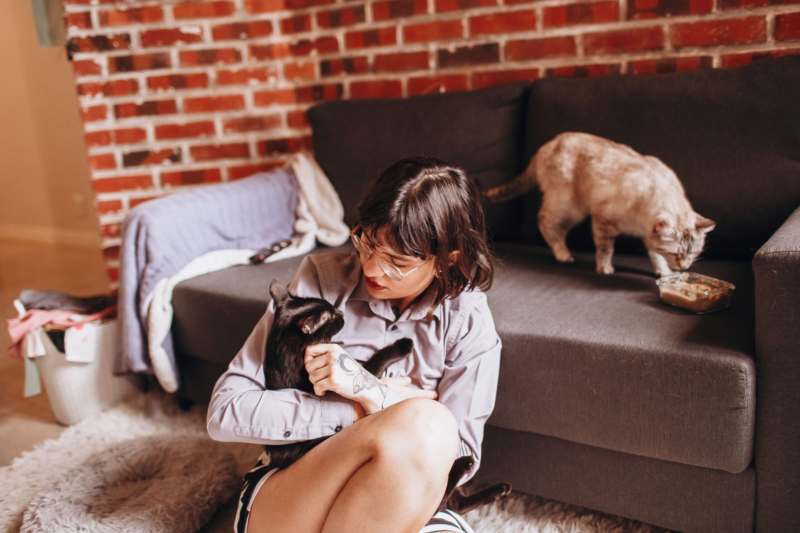 Which Zodiac Signs Are Most Likely to Love Their Cat More Than Most People