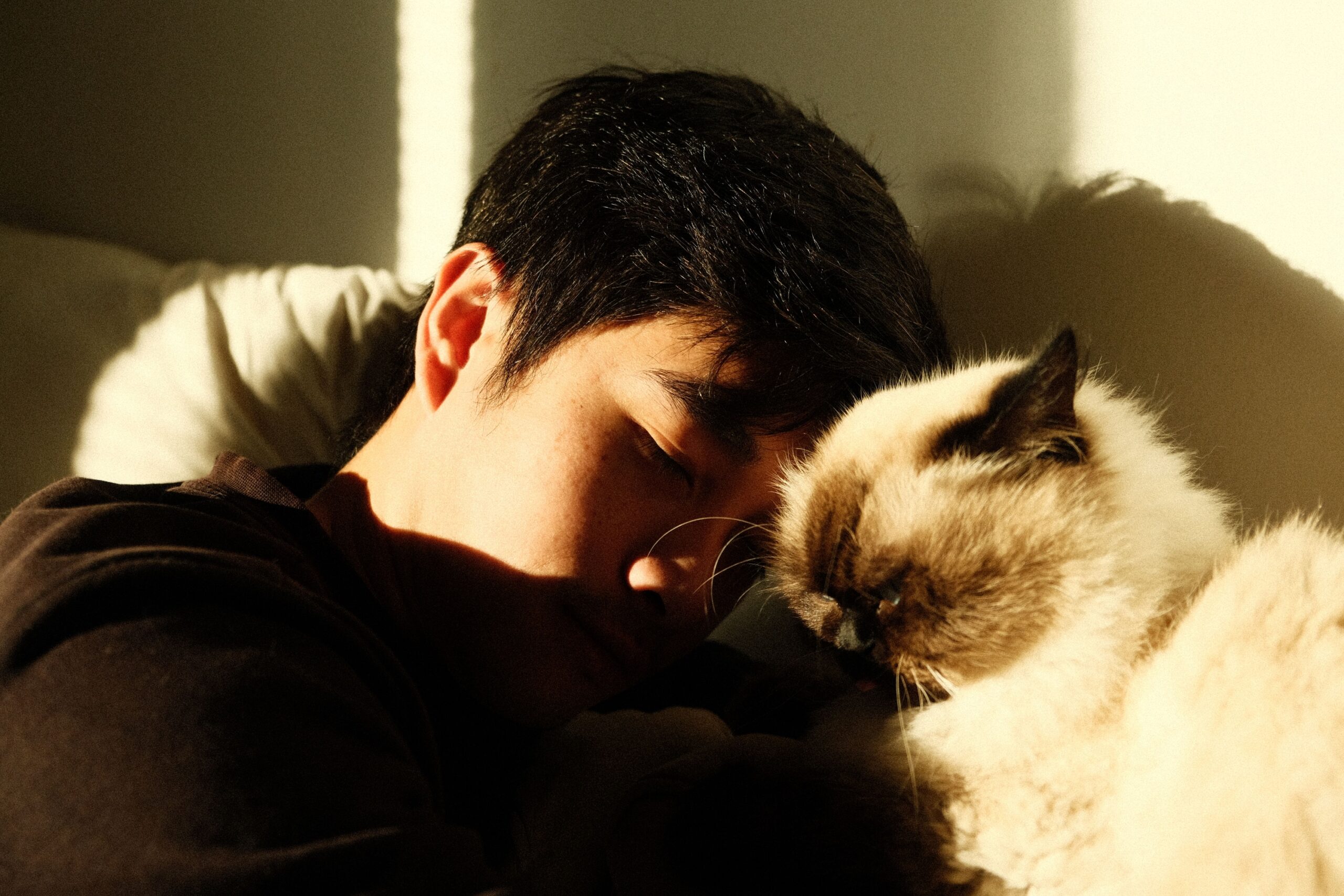 Which Zodiac Signs Are Most Likely to Let Their Cat Sleep Beside Them Every Night