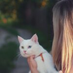 Which Zodiac Signs Are Most Likely to Build Their Entire Daily Routine Around Their Cat