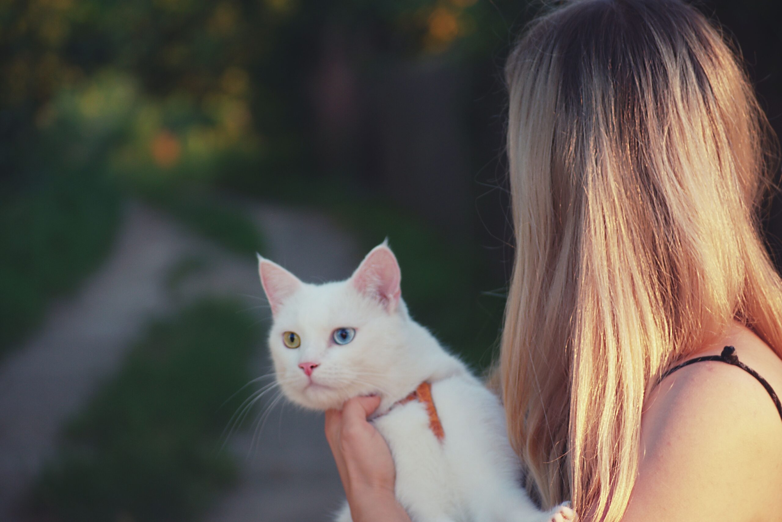 Which Zodiac Signs Are Most Likely to Build Their Entire Daily Routine Around Their Cat
