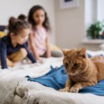 13 Cat Breeds That May Struggle in a Loud Home With Young Children