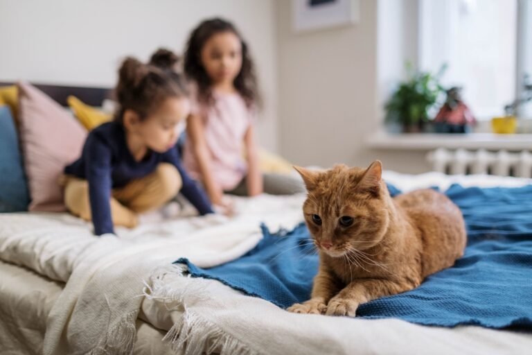 13 Cat Breeds That May Struggle in a Loud Home With Young Children