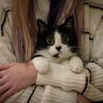 Which Zodiac Signs Are Most Likely to Choose Their Cat Over a New Relationship