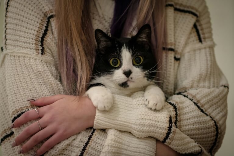 Which Zodiac Signs Are Most Likely to Choose Their Cat Over a New Relationship
