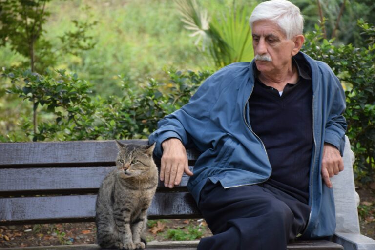 8 Worst Cat Breeds For People Over 60