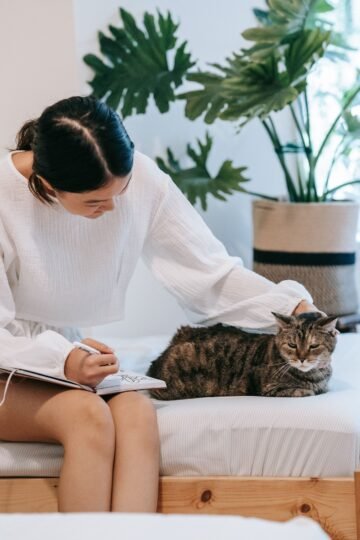 9 Signs Your Cat Has Memorized More of Your Daily Routine Than You Realize