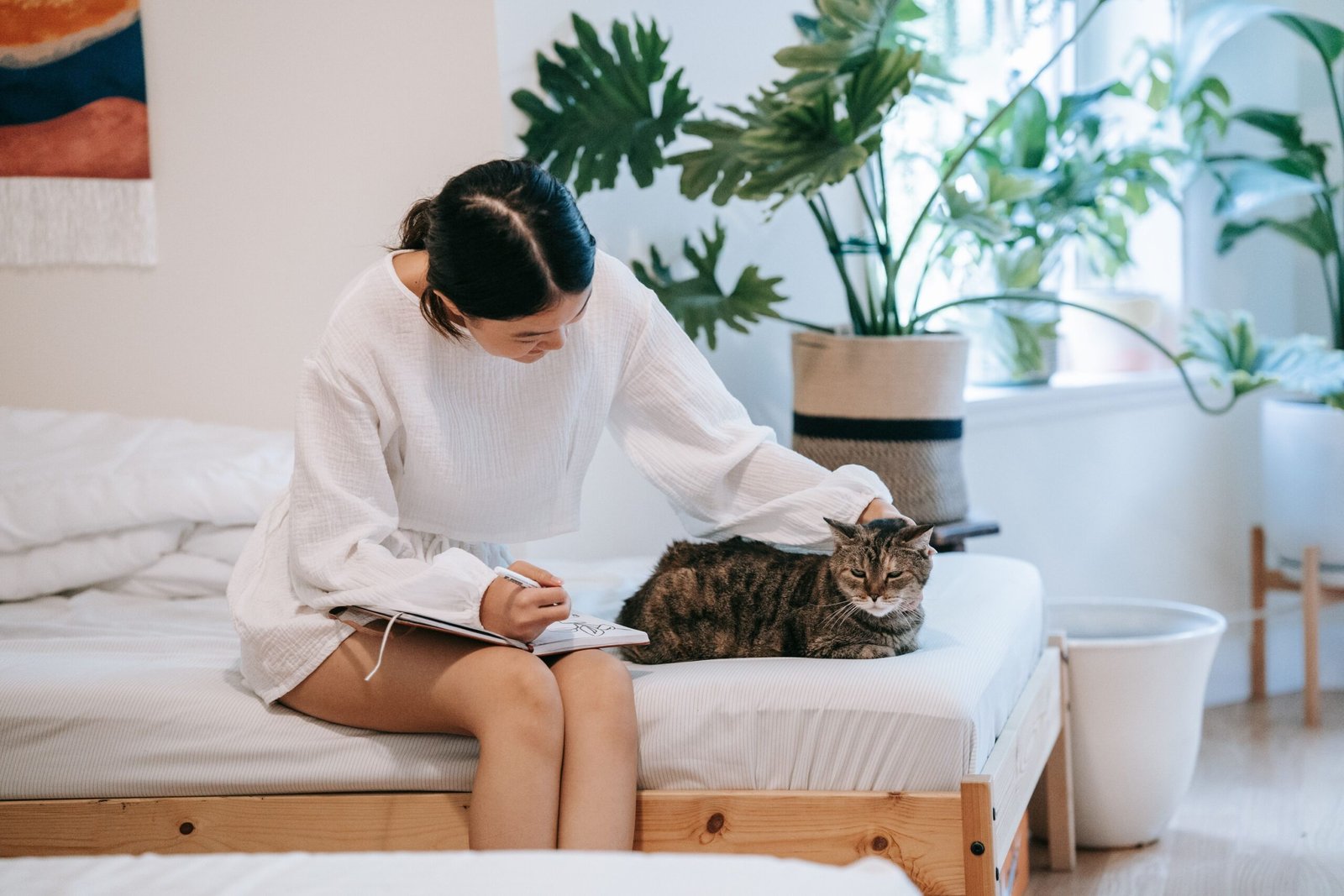 9 Signs Your Cat Has Memorized More of Your Daily Routine Than You Realize