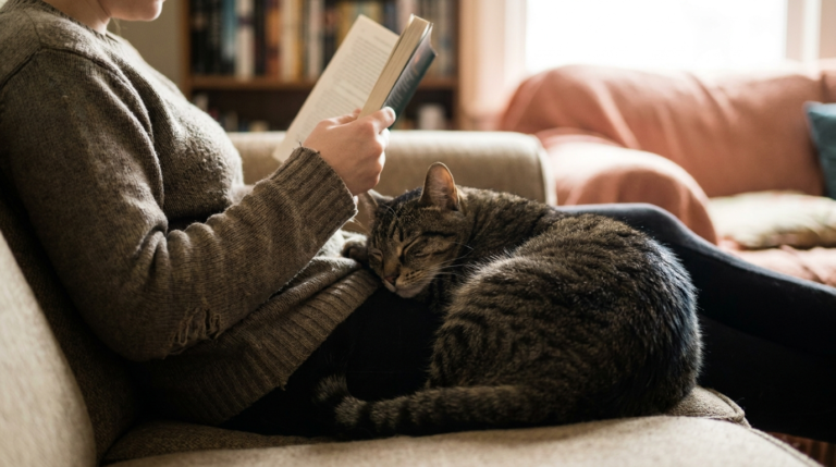 13 Reasons Your Cat Sits With Its Back Pressed Against You