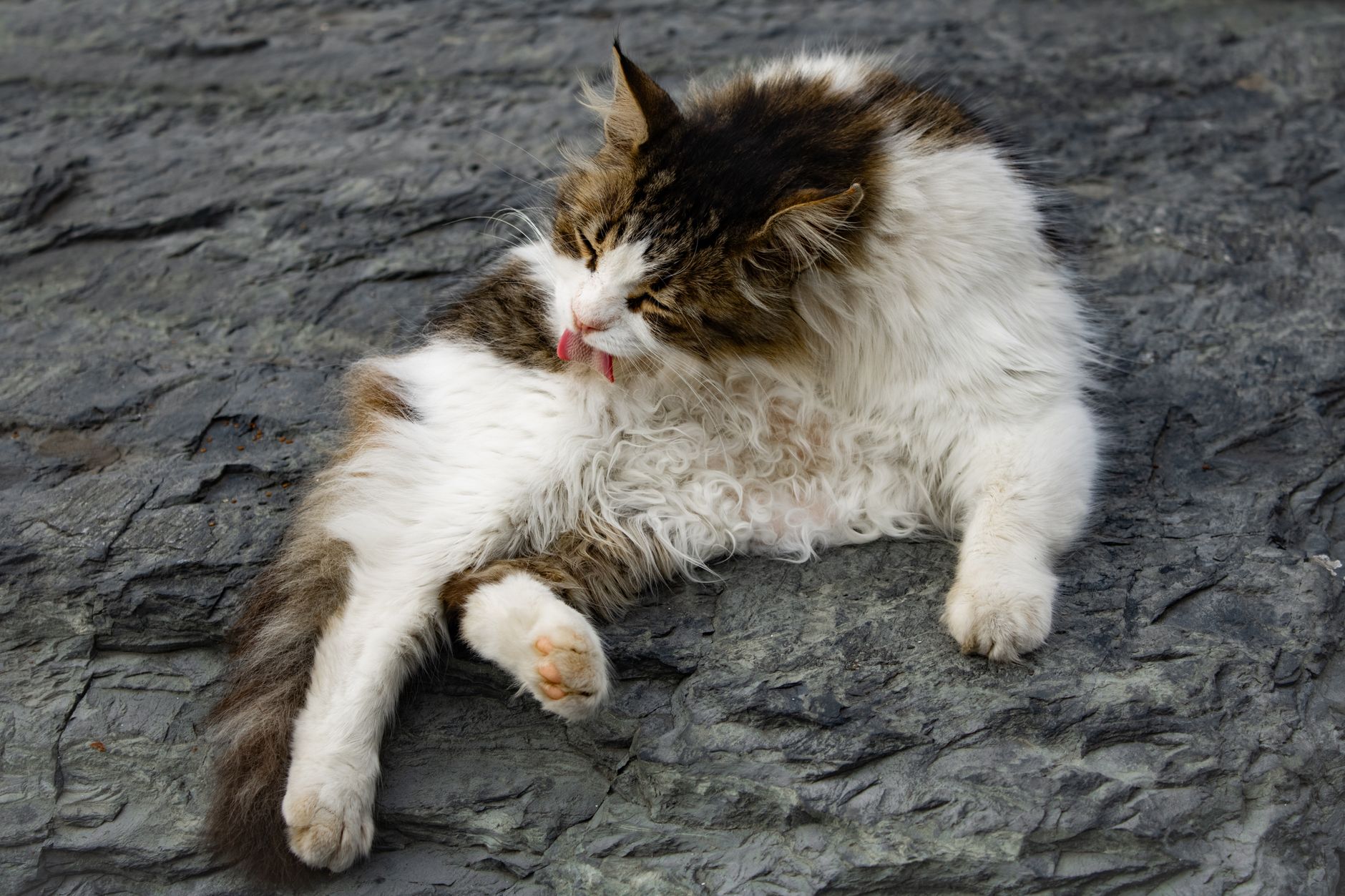 #12 — Grooming in Plain Sight Instead of Hiding