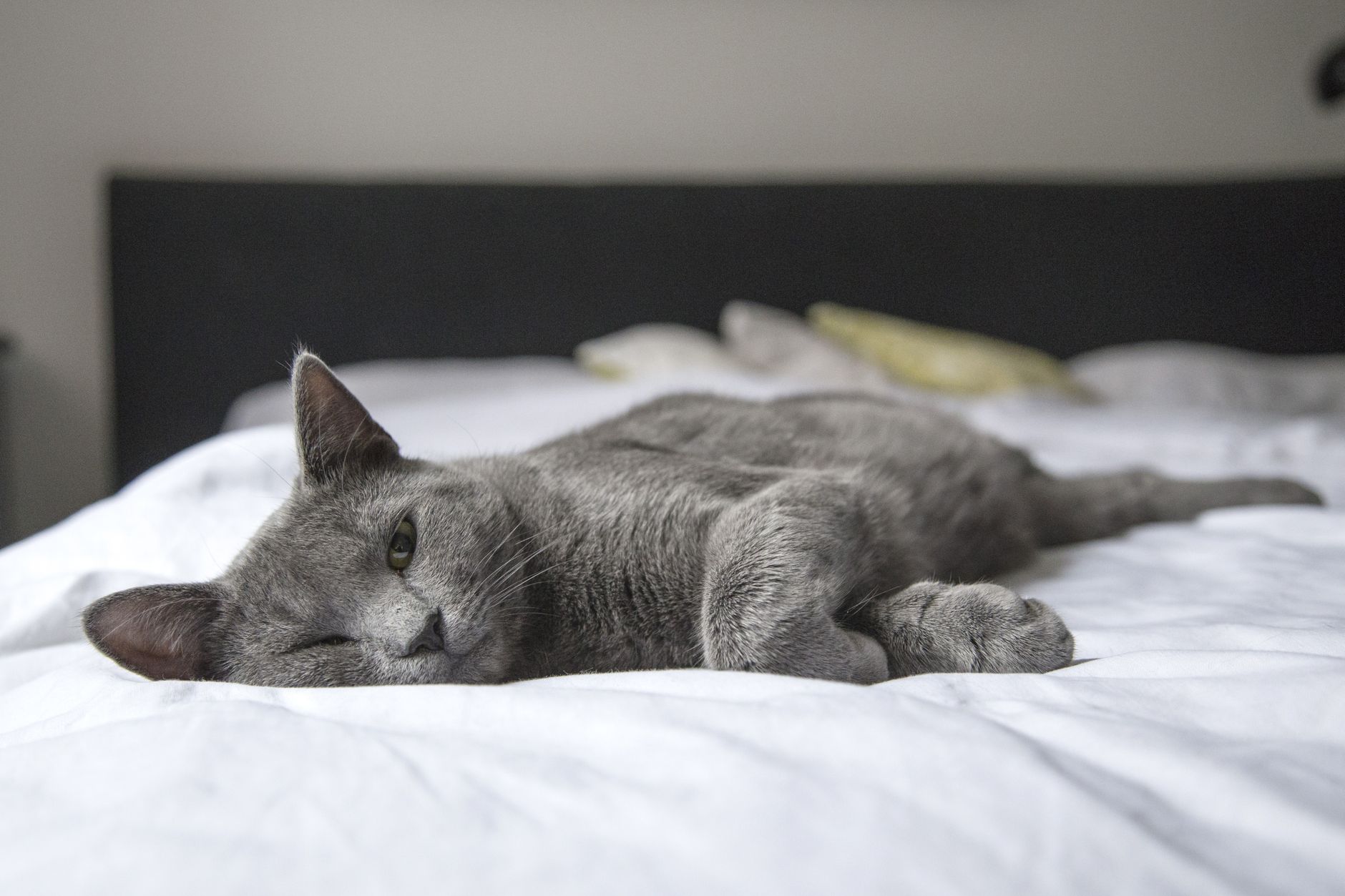 #9 — Sleeping in the Center of the Bed, Not the Edge