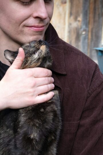 What It Means When Your Cat Presses Their Forehead Against You and Stays There