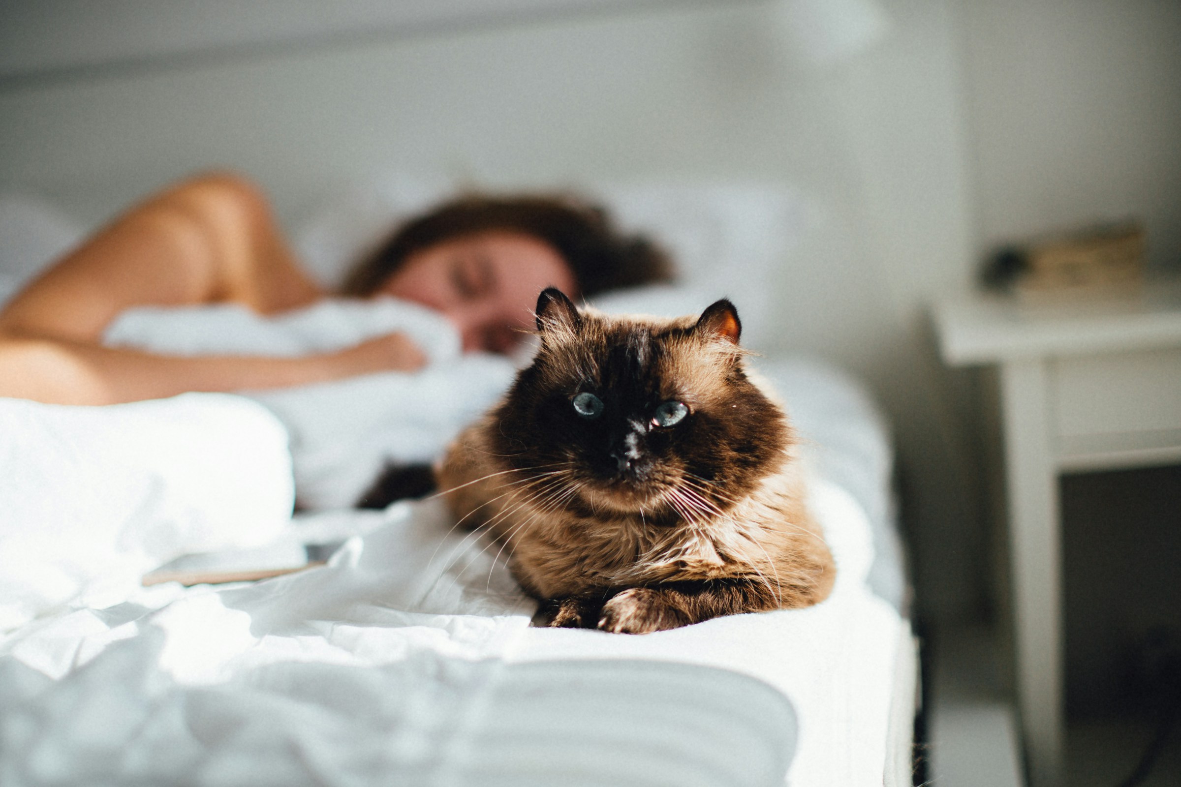 Your Cat Comes to Check on You While You Sleep for a Reason - And It May Not Be About Food