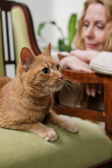 Animal Behavior Says Cats Who Choose the Same Spot Near You Every Day May Be Maintaining a Social Routine