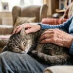 13 Things a Cat Does in Its Last Years That Show a Lifetime of Trust