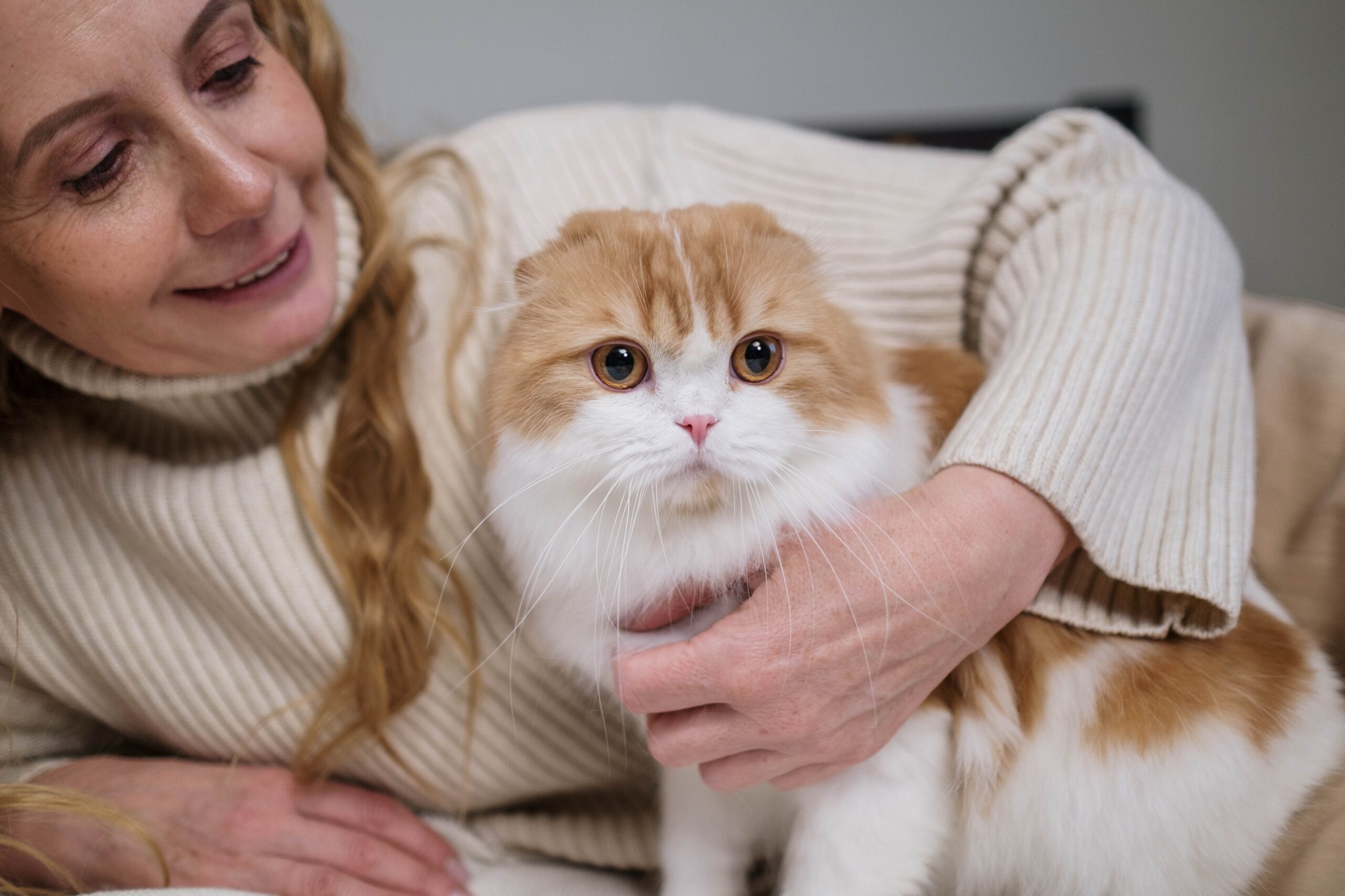 What It Means When Your Cat Suddenly Wants to Sit Closer to You Than They Normally Do